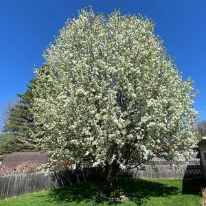 Meet your Posher, Traci